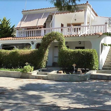 Το Κτήμα Της Ελιάς Του Τάκη Guest House Paralia Demonias Exterior photo