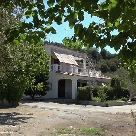 Το Κτήμα Της Ελιάς Του Τάκη Guest House Paralia Demonias Exterior photo