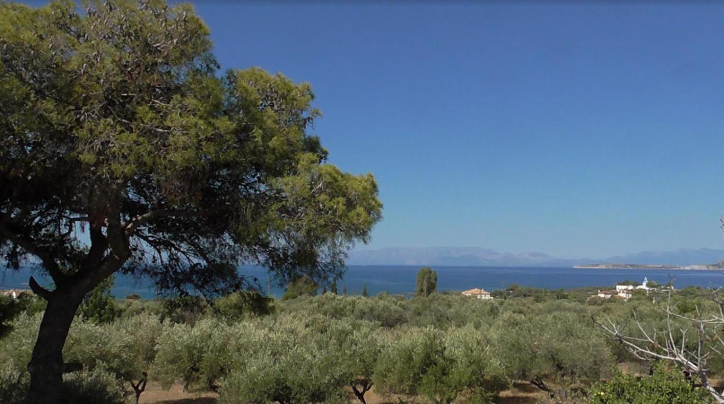 Το Κτήμα Της Ελιάς Του Τάκη Guest House Paralia Demonias Exterior photo