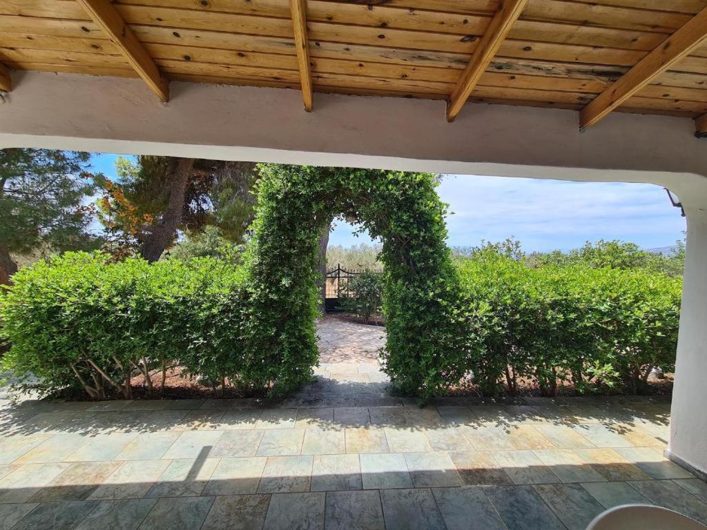 Το Κτήμα Της Ελιάς Του Τάκη Guest House Paralia Demonias Exterior photo